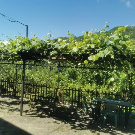 Appartamento Nel Verde 산 마르첼로 피스토이에세 외부 사진
